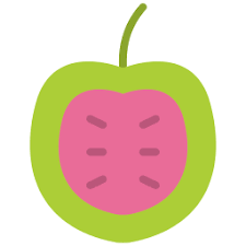 vitalbitelife.com favicon